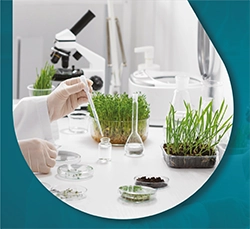 التحاليل البيئية